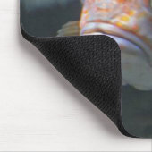 Rock Fish Muismat (Hoek)