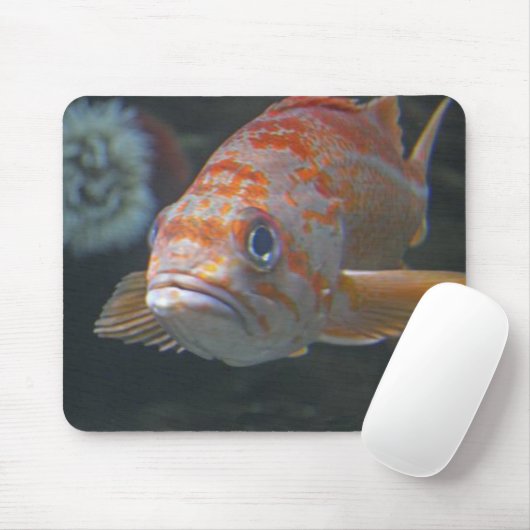 Rock Fish Muismat (Met muis)