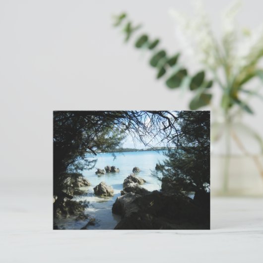 Rock-formatie bij de Grotto Bay Briefkaart (Staand voorkant)