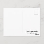 Rock-formaties en Rigges omringend Red Rocks Briefkaart (Achterkant)