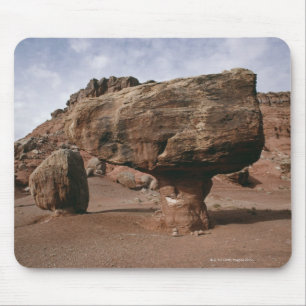 Rock formaties in Marble Canyon, Utah Muismat