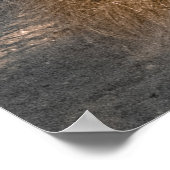 ROCK FORMATION ON BEACH POSTER (Hoek)