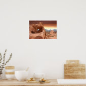Rock Formations, Valley of Fire State Park, Nevada Poster (Keuken)