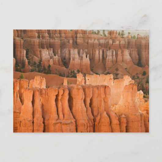 Rock Garden Briefkaart (Voorkant)
