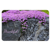 Rock Garden Gratitude Magneet (Horizontaal)