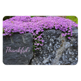 Rock Garden Gratitude Magneet