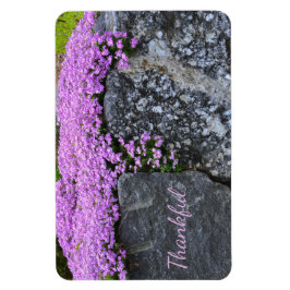 Rock Garden Gratitude Magneet