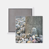 Rock Garden Manager Magneet (Voorkant / Achterkant)