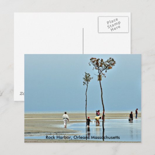 Rock Harbour, Orleans Massachusetts Briefkaart (Voorkant / Achterkant)