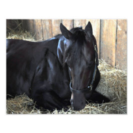 Rock Herfst door Speightstown - Renda Foto Afdruk