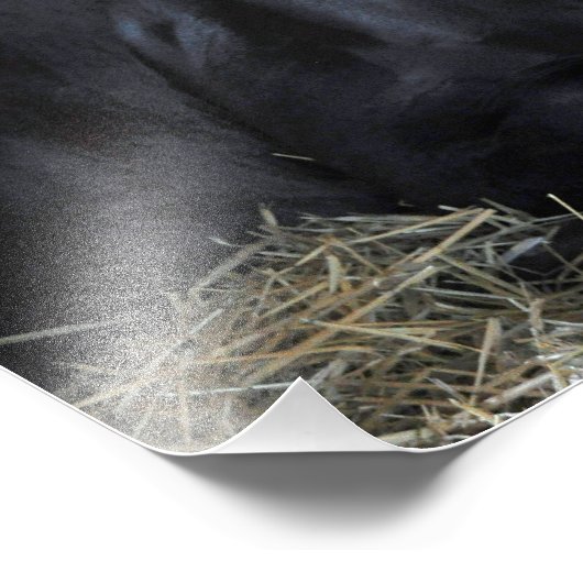 Rock Herfst door Speightstown - Renda Foto Afdruk (Hoek)