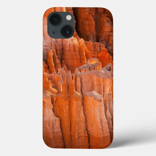 Rock Hoodos in Morning Light Case-Mate iPhone Case (Achterkant)