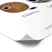 Rock Houndbewegingen, Rocks met Googly Eyes Poster (Hoek)