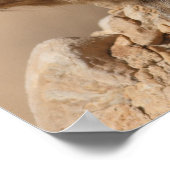 Rock Hyrax Poster (Hoek)