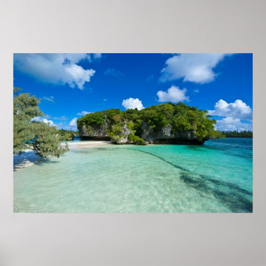 Rock Islet on the Beach Poster (Voorkant)