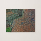 Rock-klimmers Legpuzzel (Horizontaal)