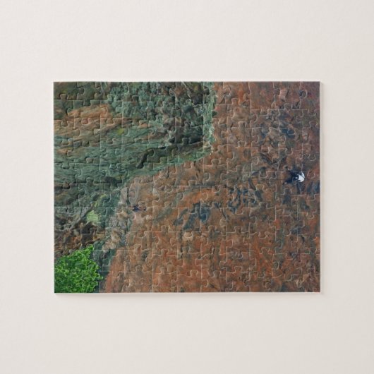 Rock-klimmers Legpuzzel (Horizontaal)