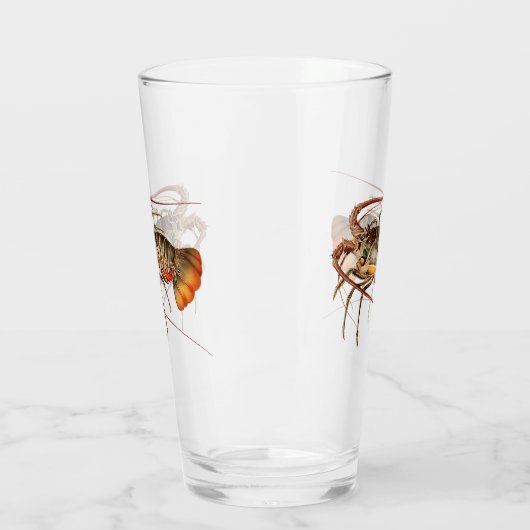 Rock Lobster - Panulirus Regis Glas (Links)
