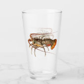Rock Lobster - Panulirus Regis Glas (Voorkant)