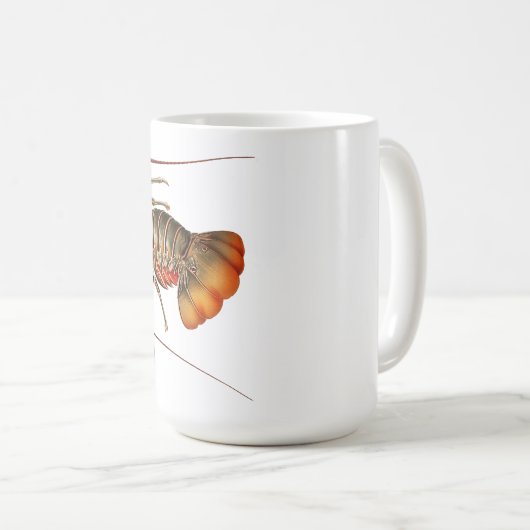 Rock Lobster - Panulirus Regis Koffiemok (Voorkant rechts)