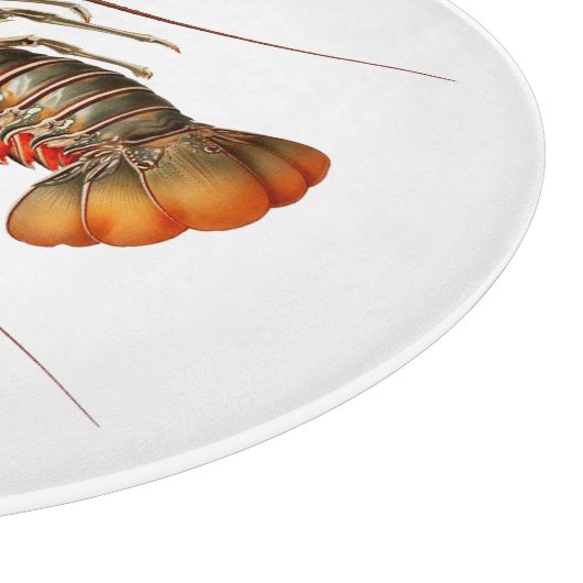 Rock Lobster - Panulirus Regis Snijplank (Hoek)