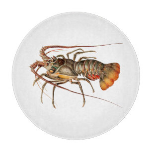 Rock Lobster - Panulirus Regis Snijplank