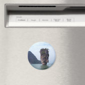 Rock Magneet (Insitu (Vaatwasser))