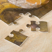 Rock met gefossiliseerde ammoniet en andere fossie legpuzzel (Zijkant)