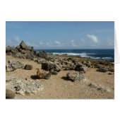 Rock-monumenten aan de kust van Aruban (Voorkant Horizontaal)