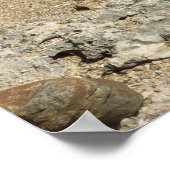 Rock-monumenten aan de kust van Aruban Poster (Hoek)