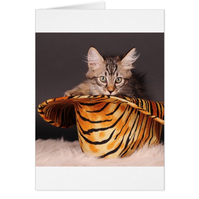 Rock n' Roll Kat (Voorkant)