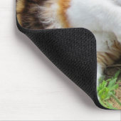 Rock Nom Kattenvoer Muismat (Hoek)