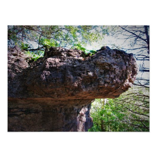 "Rock-opotamus" Foto Afdruk (Voorkant)