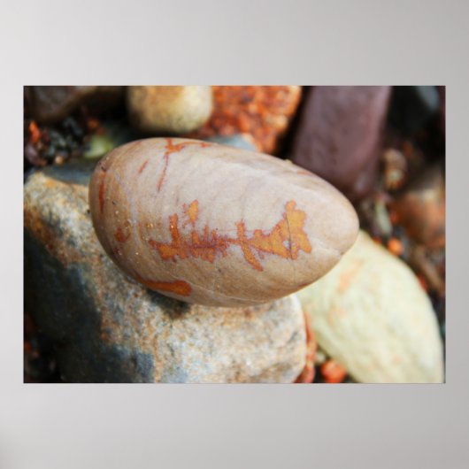 Rock Pattern - Fundy Coast Poster (Voorkant)