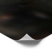 Rock Pattern - Fundy Coast Poster (Hoek)