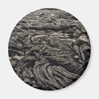 Rock Phoenix Magneet