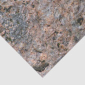 Rock Photo Geology with Moss Tissuepapier (Detail)