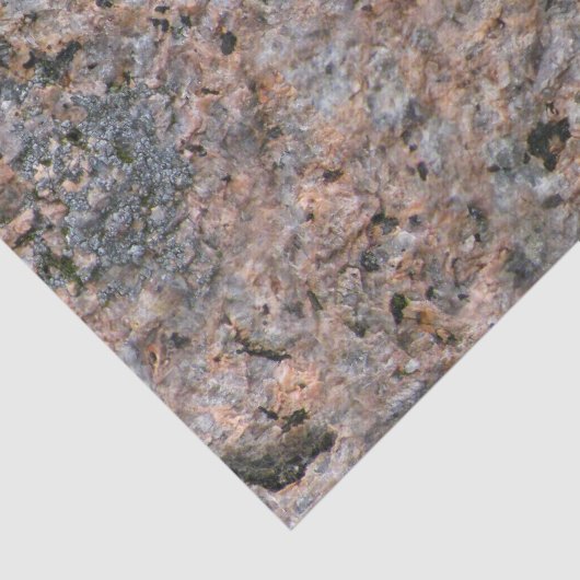 Rock Photo Geology with Moss Tissuepapier (Detail)