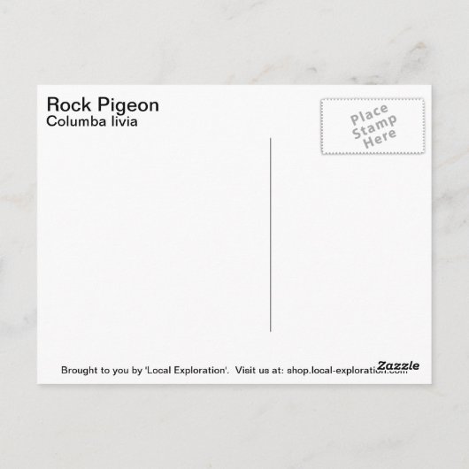 Rock Pigeon Briefkaart (Achterkant)