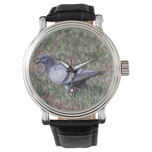 Rock Pigeon Horloge (Voorkant)
