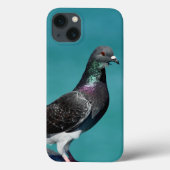 Rock Pigeon iPhone hoesjes (Achterkant)