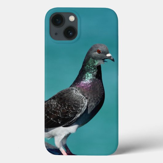 Rock Pigeon iPhone hoesjes (Achterkant)