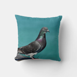 Rock Pigeon Kussen