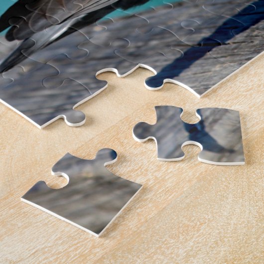 Rock Pigeon Legpuzzel (Zijkant)