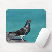 Rock Pigeon Muismat (Met muis)