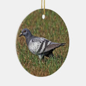 Rock Pigeon Ornament (Rechts)
