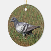 Rock Pigeon Ornament (Links)