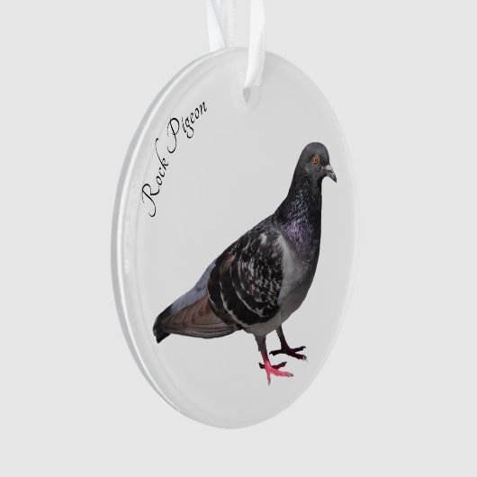 Rock Pigeon Ornament (voorkant)