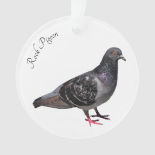 Rock Pigeon Ornament