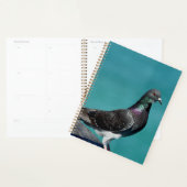 Rock Pigeon Planner (Display)